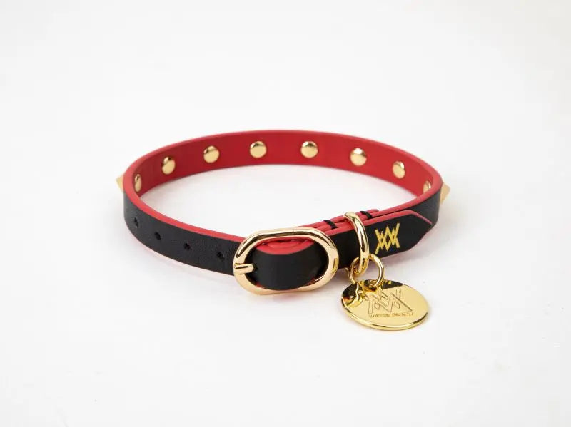 LV dog collar Love it!  Designer cat collars, Dog design, Dog collar
