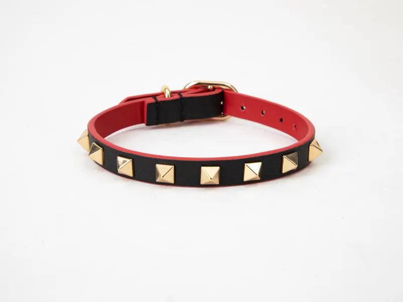 Studded Dog Collar Wicked Monkey